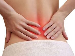 Causes of back pain in the lower back
